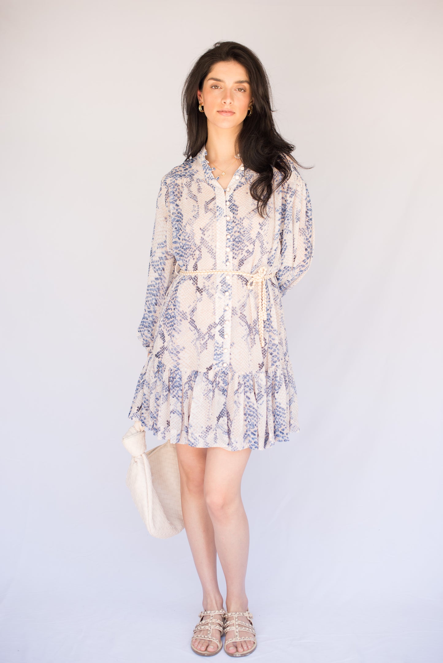 Blue Snake Print Dress